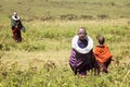 Africa, Tanzania - March 2016 : Masai children