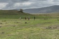 Africa Tanzania Ngorongoro crater