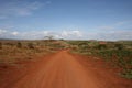 Africa,Tanzania, red street