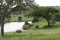 Africa Tanzania Tarangire River park reserve