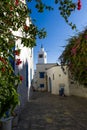 Tunisia. Sidi Bou Said. A typical street with the white building