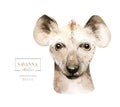 Africa watercolor savanna cute funny hyena animal illustration. African Safari animals face portrait character. Isolated