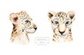 Africa watercolor savanna leopard, animal illustration. African Safari wild cat cute exotic animals face portrait