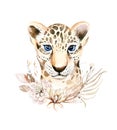 Africa watercolor savanna leopard, animal illustration. African Safari wild cat cute exotic animals face portrait