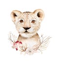 Africa watercolor savanna lion, animal illustration. African Safari wild cat cute exotic animals face portrait character Royalty Free Stock Photo