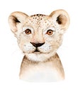 Africa watercolor savanna lion, animal illustration. African Safari wild cat cute exotic animals face portrait character Royalty Free Stock Photo