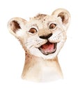 Africa watercolor savanna lion, animal illustration. African Safari wild cat cute exotic animals face portrait character Royalty Free Stock Photo