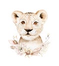 Africa watercolor savanna lion, animal illustration. African Safari wild cat cute exotic animals face portrait character. Isolated Royalty Free Stock Photo