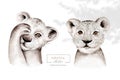 Africa watercolor savanna lion, animal illustration. African Safari wild cat cute exotic animals face portrait character. Isolated Royalty Free Stock Photo