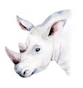 Africa watercolor savanna rhino animal. African Safari cute animals portrait character.Perfect for wallpaper print