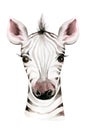 Africa watercolor savanna zebra animal. African Safari cute animals portrait character.Perfect for wallpaper print Royalty Free Stock Photo