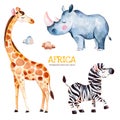 Safari collection with giraffe, rhino, zebra, stones Royalty Free Stock Photo