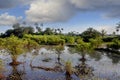 Africa West Coast Conakry Kamsar Boke nature Royalty Free Stock Photo