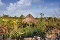 Africa West Coast Conakry Kamsar Boke province sunshine shelter Royalty Free Stock Photo