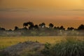 Africa West Coast Guinea Conakry Boke province Kamsar Royalty Free Stock Photo