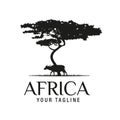 African Acacia Tree with African Buffalo Silhouette for Safari Adventure Logo Design Vector Royalty Free Stock Photo