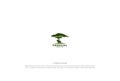 African Acacia Tree with Lion Silhouette for Safari Adventure Logo Design Vector