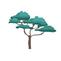 African acacia tree with wide crown flat cartoon style, vector illustration