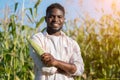 African American agriculturist holds corncob standing on farm field