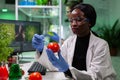 African american biologist researcher with medical gloves injecting organic tomato Royalty Free Stock Photo