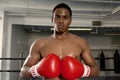 African American Boxer Ready For A Fight Royalty Free Stock Photo