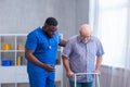 African-American caregiver is teaching disabled old man to walk with walker. Professional nurse and handicapped patient