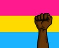 Pansexual Flag Racial Equality Rights