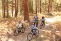 African American Family Cycling Through Fall Woodland Royalty Free Stock Photo
