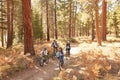 African American Family Cycling Through Fall Woodland Royalty Free Stock Photo