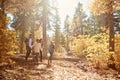 African American Family Walking Through Fall Woodland Royalty Free Stock Photo