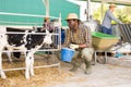 African american farmer feeding calves on livestock farm Royalty Free Stock Photo