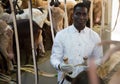 African American farmer milking goats