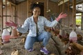 African American farmer is showing organic eggs from hen house coop which using free range technique Royalty Free Stock Photo