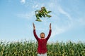 African American farmer throws corn cobs up. Royalty Free Stock Photo