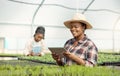 African american farmer using a digital tablet. Young farmer planning in her garden. Farmer checking her plants using an