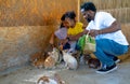 African American father and Asian mother enjoin with their daughter to have fun and relax activity to feed and play with rabbit in Royalty Free Stock Photo