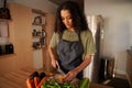 African American female cooking in kitchen chopping vegetables