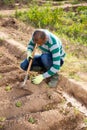 African American gardener weeding with hoe in vegetable garden