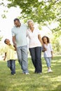 African American Grandparents With Grandchildren Walking In Park Royalty Free Stock Photo