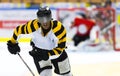 African-American hockey player