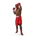 African American Male boxer on white. 3D illustration