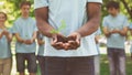 African-american man hands holding plant in soil