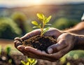 An African American man holding dirt and small plant in his hands.