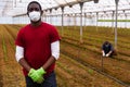 African american man in medical mask in greenhouse