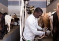 African-American man milking goats