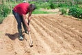 African american man professional horticulturist with garden shovel