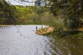 A African American man standing on the banks of a rippling lake fishing surrounded by lush green trees at Murphey Candler Park