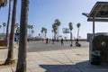 african american men playing basketball on a court at Venice Beach with tall lush green palm trees and a clear blue sky in Venice Royalty Free Stock Photo