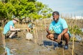 African American men volunteer helpers planting trees in mangrove forest for environmental protection and ecology, reduce global