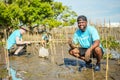 African American men volunteer helpers planting trees in mangrove forest for environmental protection and ecology, reduce global